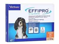 EFFIPRO 67 mg Pip.Lsg.z.Auftropf.f.kl.Hunde 4 Stück