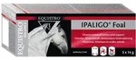 EQUISTRO Ipaligo Foal Erg.Futterm.Paste f.Pferde 3X14 g