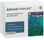Adrenal-intercell Kapseln 120 St
