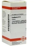 Cantharis D 12 Tabletten 80 St