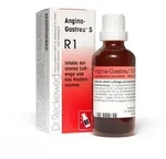 Dr. Reckeweg Angina-Gastreu S R1 22 ml