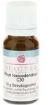 RHUS Toxicodendron C 30 Globuli 10 g