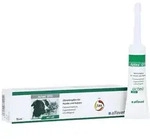 Actea OTO Ohrentropfen f.Hunde und Katze 15 ml