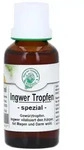 Ingwertropfen Spezial 30 ml