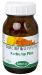 Kurkuma PLUS Curcumin Kapseln 60 St