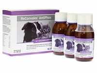 RECONVALES AntiPhos flüssig f.Hunde/Katzen 3x90 Milliliter