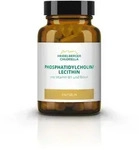 Phosphatidylcholin/lecithin Phospholipid 60 St