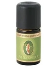 Eukalyptus &Ouml;L kbA Cineol 85% 10 ml