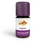 Ingwer &Ouml;L Bio 5 ml