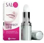 SAL 29 Perfect Lips 4 g