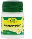 Propolis Herbal Pulver vet. 20 g