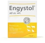 Engystol ad Us.vet.ampullen 5 St