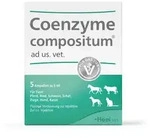 Coenzyme Compositum ad us.vet.Ampullen 5X5 ml