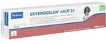ENTEROGELAN 24 Paste vet. 27,6 g