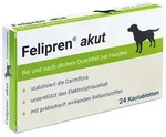 Felipren akut 24 St