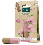 Kneipp Lippenpflege Hautzart 1 St