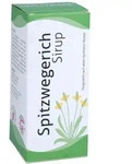 Spitzwegerich Sirup 200 ml