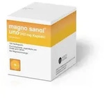 Magno sanol&reg; uno 243 mg 100 St