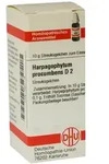 Harpagophytum Procumbens D 2 Globuli 10 g
