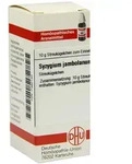 Syzygium Jambolanum D 2 Globuli 10 g