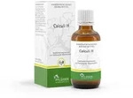 Calculi H Tropfen 50 ml