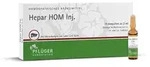 Hepar HOM Inj.ampullen 10X2 ml