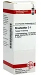 Strophanthus D 4 Dilution 20 ml
