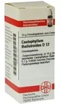 Caulophyllum Thalictroides D 12 Globuli 10 g