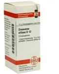 Dioscorea Villosa D 12 Globuli 10 g