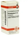 Rhododendron D 12 Globuli 10 g