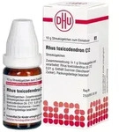 RHUS Toxicodendron C 12 Globuli 10 g