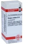 Vespa Crabro D 6 Globuli 10 g