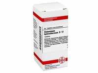 HISTAMINUM hydrochloricum D 12 Tabletten 80 Stück
