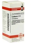 Cantharis C 12 Globuli 10 g