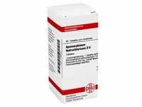 APOMORPHINUM HYDROCHLORICUM D 6 Tabletten 80 Stück