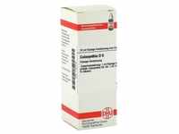 COLOCYNTHIS D 6 Dilution 20 Milliliter