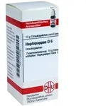 Haplopappus D 6 Globuli 10 g