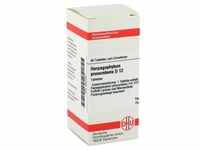 HARPAGOPHYTUM PROCUMBENS D 12 Tabletten 80 Stück