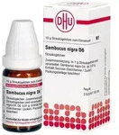 Sambucus nigra D6 Globuli 10 g