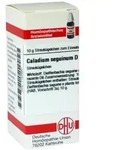 Caladium Seguinum D 6 Globuli 10 g