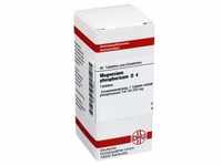 MAGNESIUM PHOSPHORICUM D 4 Tabletten 80 Stück