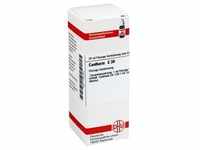 CANTHARIS C 30 Dilution 20 Milliliter