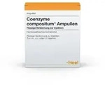 Coenzyme Compositum Ampullen 100 St