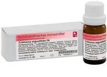 Dr. Reckeweg Echinacea Angustifolia D6 Globuli 10 g