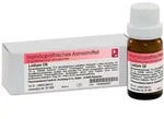 Dr. Reckeweg Ledum D6 Globuli 10 g
