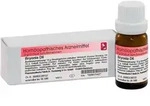 Dr. Reckeweg Bryonia D6 Globuli 10 g