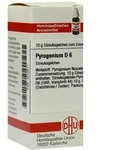Pyrogenium D 6 Globuli 10 g