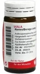 Renes/borago Comp.globuli 20 g