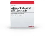 ATP Injeel Forte Ampullen 10 St