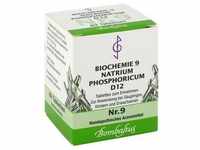 BIOCHEMIE 9 Natrium phosphoricum D 12 Tabletten 80 Stück